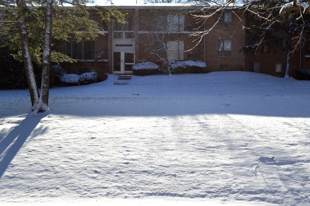 Cocktail Party 2013 001