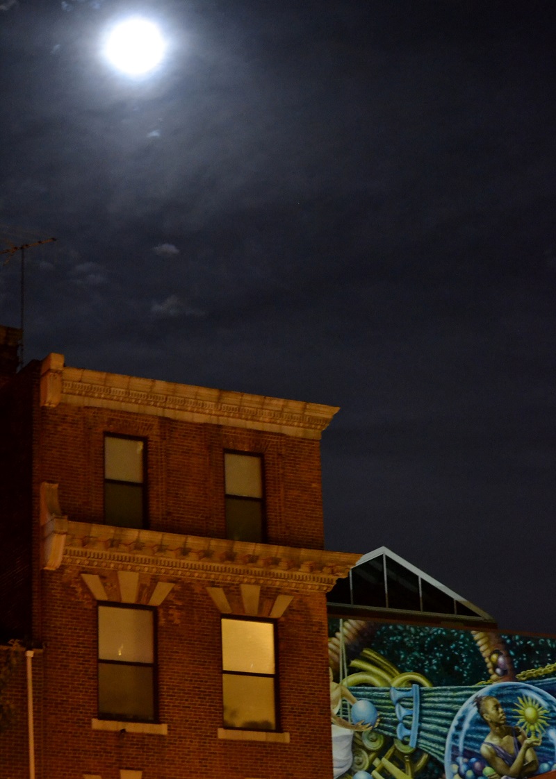 Mural Under Moonlight