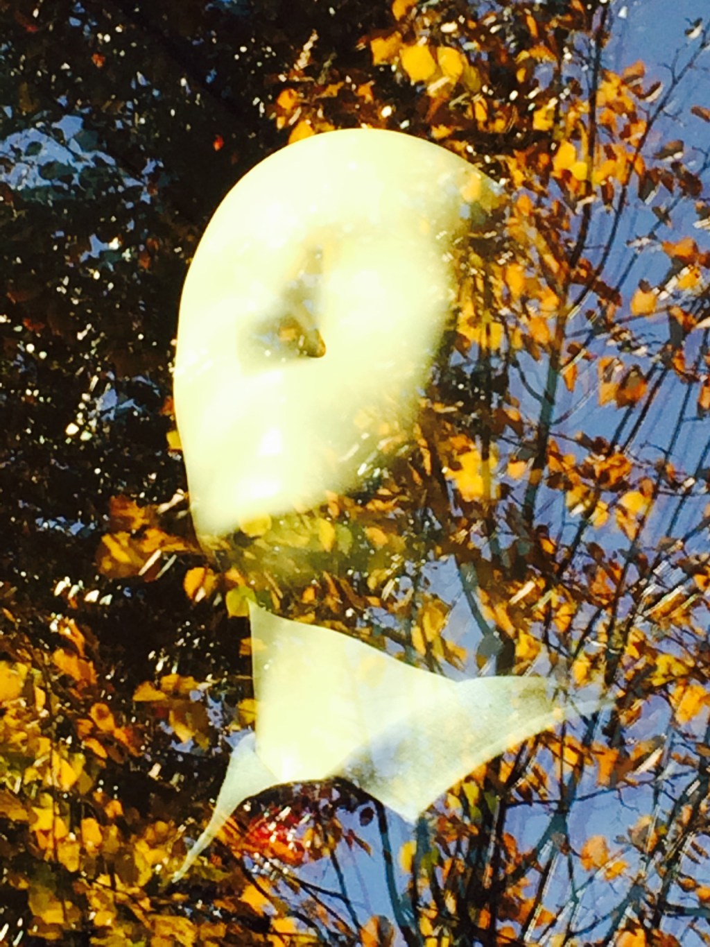 A Beautiful Day in My&nbsp;Neighborhood