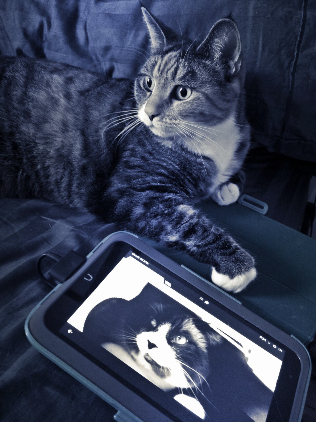 Flickr Me This,&nbsp;Batman