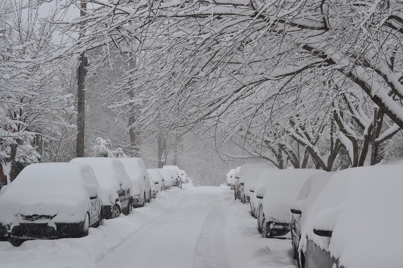 There's a certain cruel beauty and eerie silence that transpires during snowstorms. For a few moments, until the next snowplow drives by, the only sounds are of falling snowflakes, my own rhythmic breathing, and the snap of the shutter as I capture this picture.