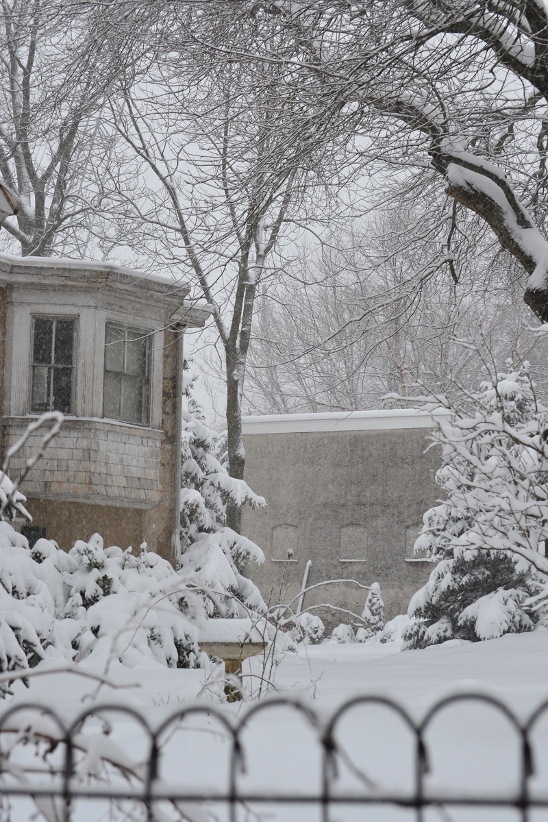 Historic Philadelphia is tucked beneath a cold, wet blanket of snow -- hopefully the last one as we approach spring.
