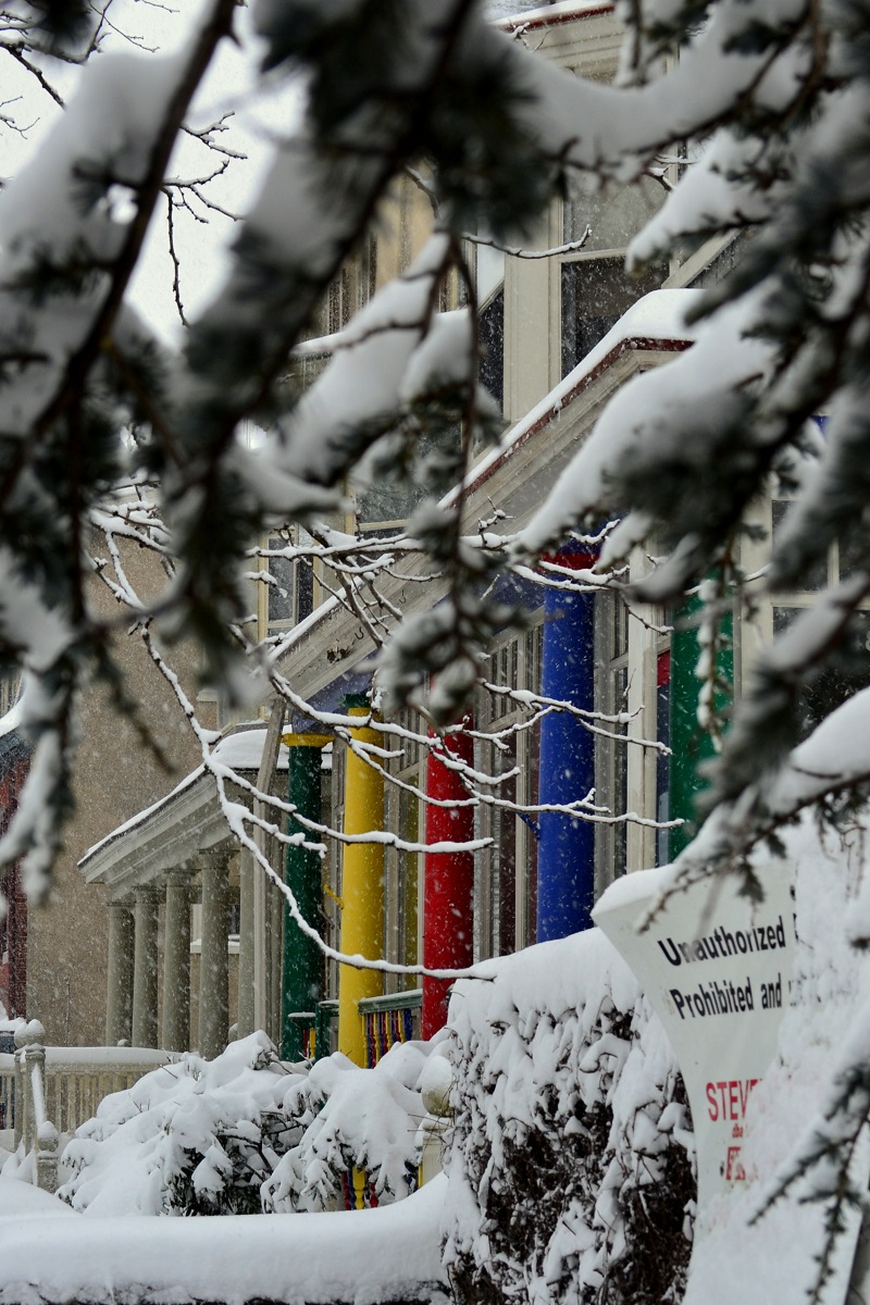 A little splash of color brightens up a dark, cold afternoon.