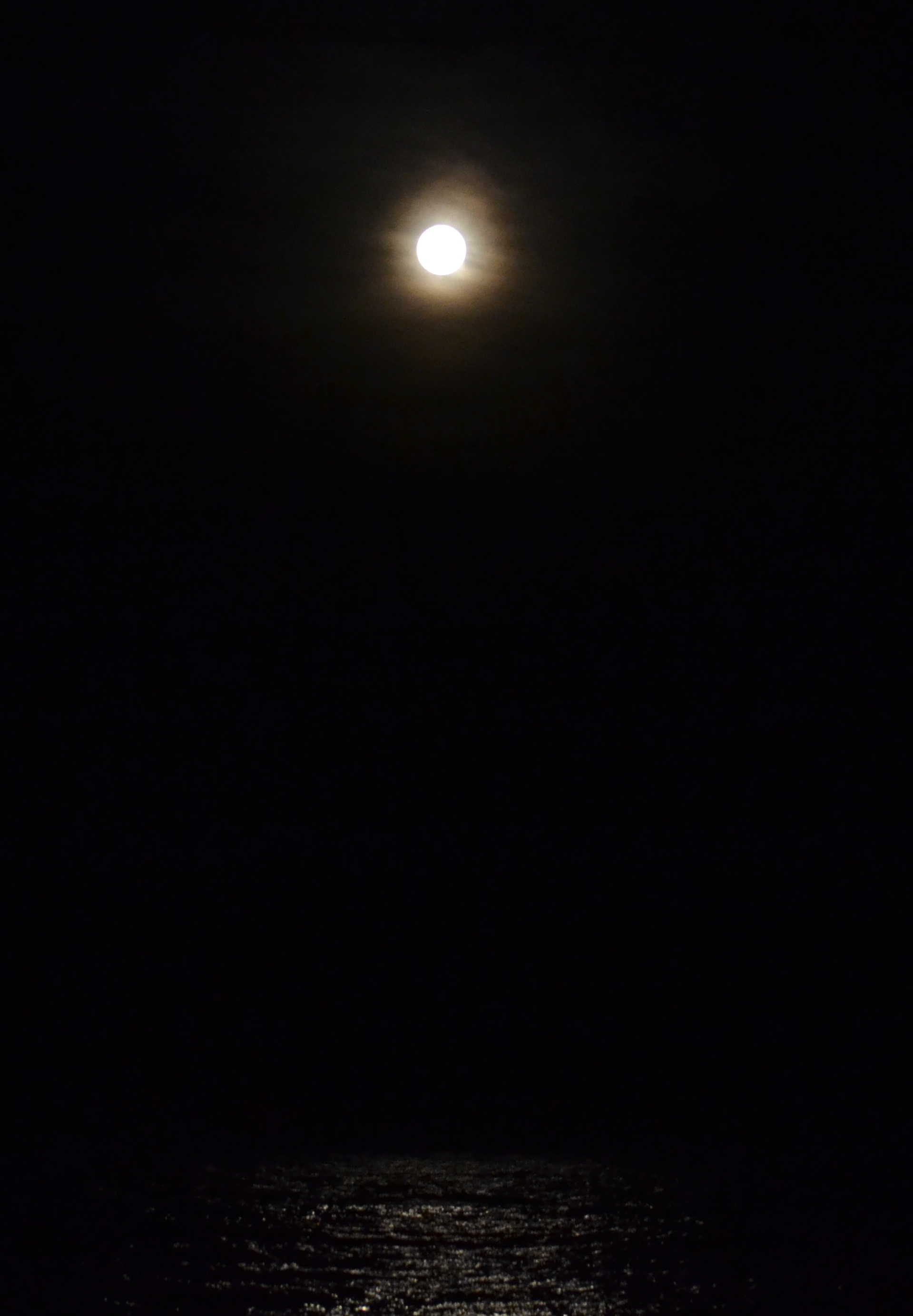 DSC_0421