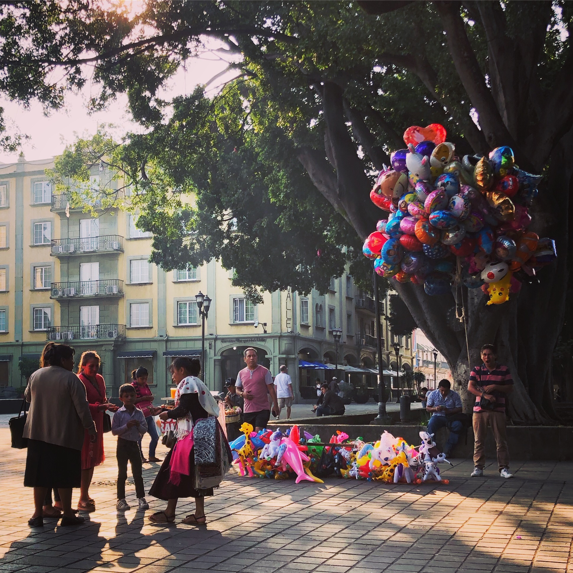 CEBE5445-6DF0-45F4-A0AA-C88845B0F7E5