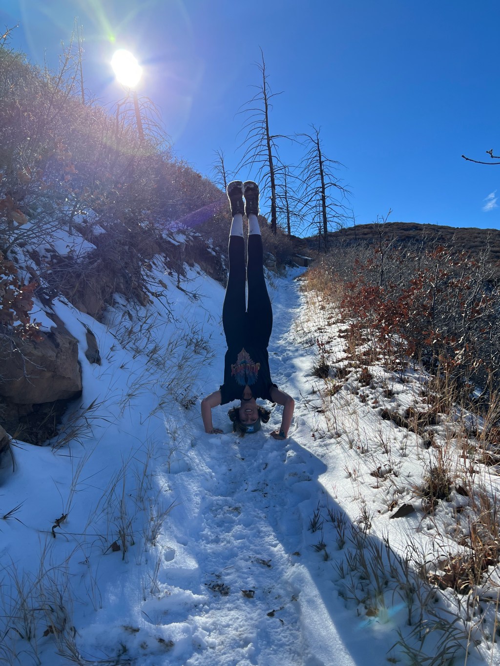 A Spontaneous Visit to Mesa&nbsp;Verde